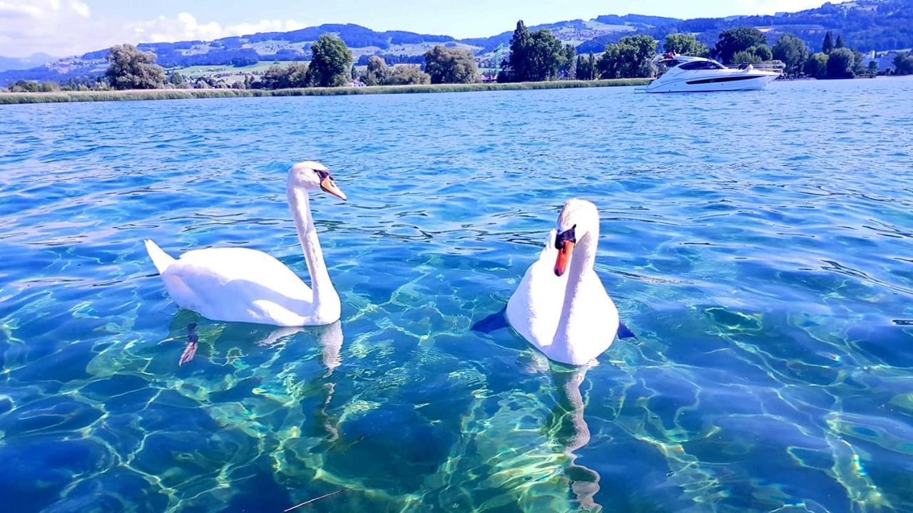 Schoenes Studio In Arbon Am Bodensee Neu Klimatisiert ! 외부 사진